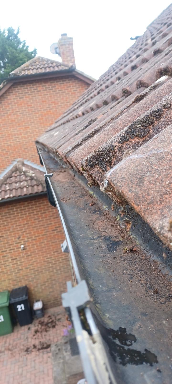 Gutter Cleaning, Gutter Clearing, Maidstone, Near Me, DB General Maintenance