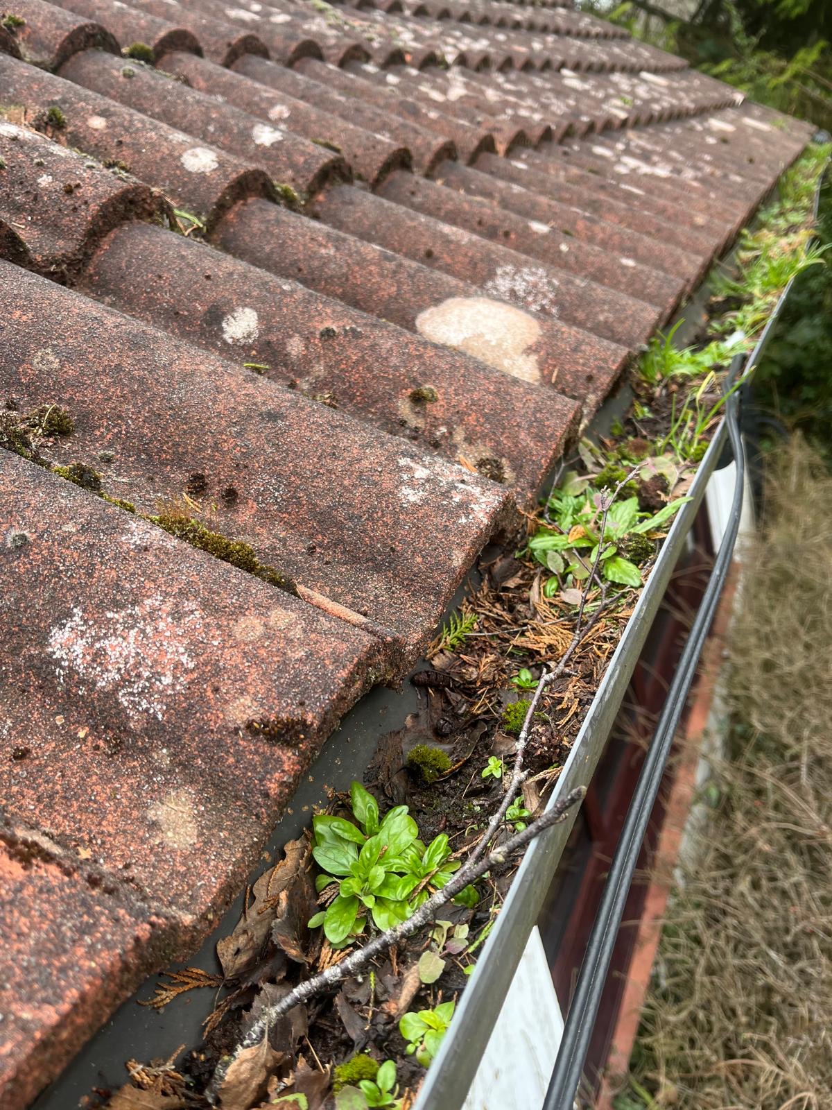 Gutter Cleaning and Clearing, Kent, Maidstone, DB General Maintenance