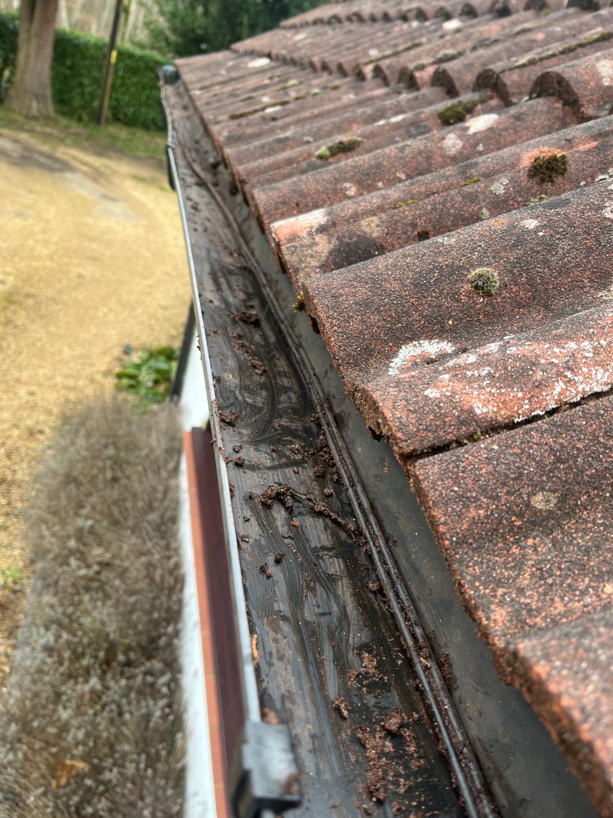 Moss Removal, Maidstone, DB General Maintenance