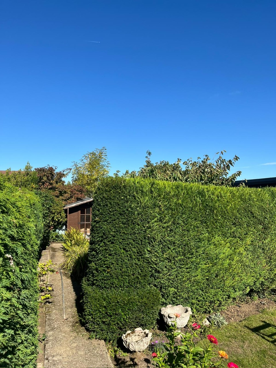 Hedge Cutting, Garden Maintenance, Maidstone, DB General Maintenance